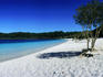 Tree on the beach of Lake MacKenzie.