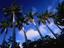 Image_2478-45