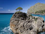 Tree on Rocky Headland at Cala de Sa Calobra bay.