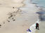 Semaphore Beach, Adelaide
