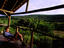 hotel balcony and grasslands, South Africa