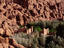 Image_24825-1