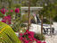 Flowers growing outside resident's home.
