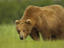Image_24875-1