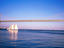Image_24892-3