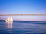 Sail boat under the Bay bridge.