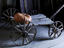 Image_24902-1