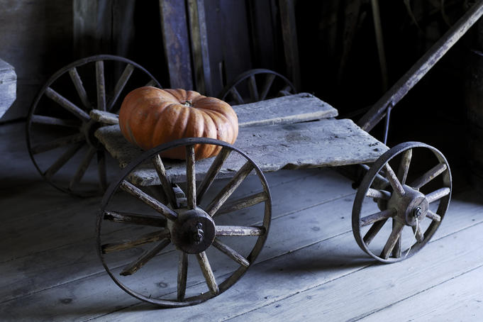 Pumpkin on antique wagon, King's Landing Historical Settlement.
