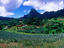 Image_24907-1