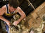 Man shearing sheep.