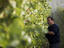 Yerringberg Winery, The Yarra Valley