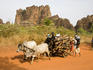 Family returning from gathering firewood outside town of Sindou, with Peaks of Sindou in background.