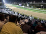 Racetrack from grandstand at Nad Al Sheba Racetrack.