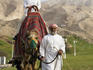 American woman tourist riding camel in Jebel Hafeet Park.