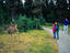 Washington, Olympic National Park