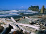 Driftwood piled high on Ruby Beach - Olympic National Park, Washington