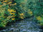 Sol Duc river, Olympic National Park