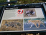 Wild life signs and what not to do - Rocky Mountains National Park, Colorado