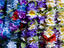 Image_25034-23