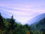 The Great Smoky Mountains National Park.