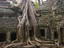 Ta Prohm temple, Cambodia
