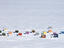 Overhead of ice fishing huts.