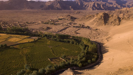 Image_25061-24