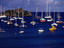 Image_25067-68