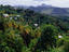 Image_25071-57