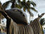 Sculpture along the Malecon.