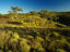 The Pilbara, Western Australia