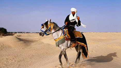 Image_25099-6