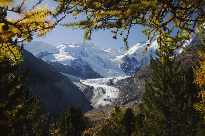 Morteratsch glacier in Morteratsch valley with snow capped mountains Bellavista and Piz Argient.