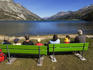People sitting on green benches at alpine Silser See (lake).