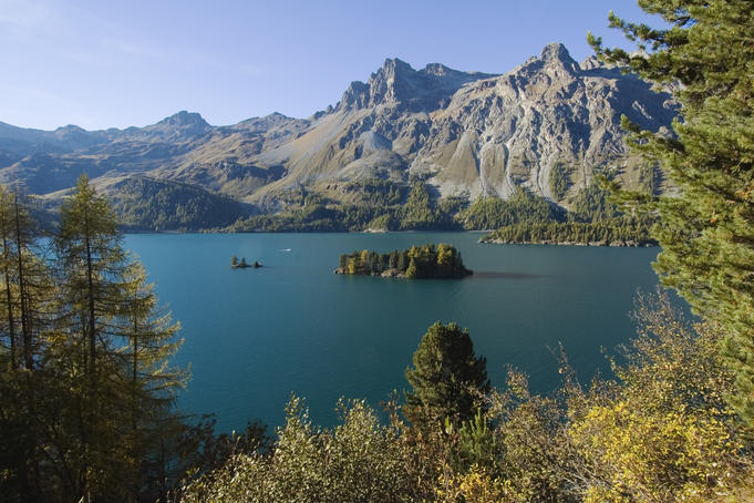 Wooded isle Chaviolas in emerald alpine Silser See (lake) with Piz Lagrev in the background.