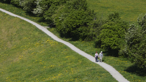 Image_25100-96