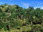 Image_25121-6