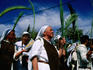 Latin (Catholic) Palm Sunday procession, Mount of Olives.