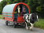 Image_25189-10