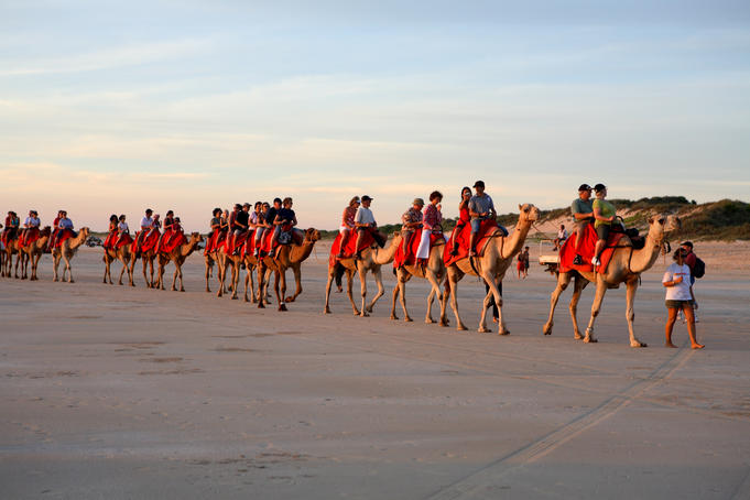 Sunset camel ride on Cable Beach.