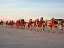 Sunset camel ride on Cable Beach.