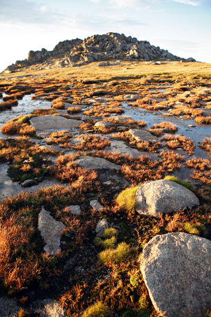 Alpine stream below Mt Townsend.