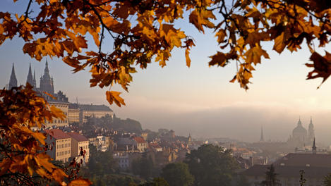 Image_25216-27