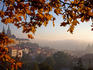 Prague Castle, St Veit Cathedral and golden towers from Petrin Hill.