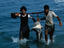 Shark, Yemen