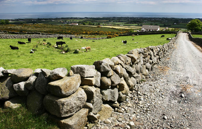 Stone walled fields and farmhouses along the coast.