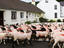 Sheep crossing the road.