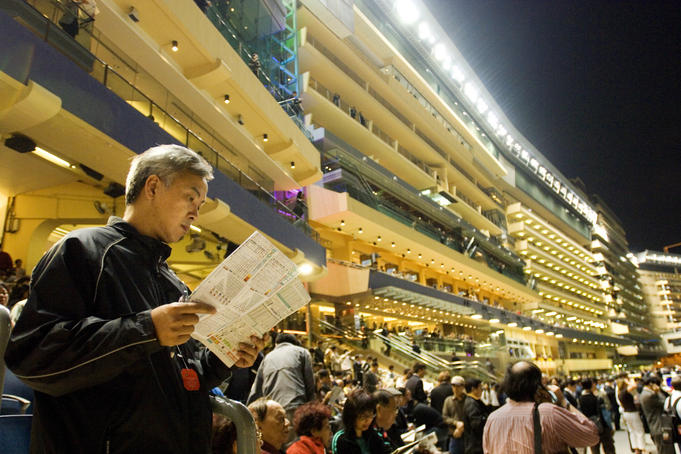 Studying the horses in front of main stands at Happy Valley Racecourse.