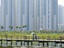 Wetland Park, Tin Shui Wai, Hong Kong