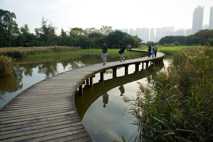 Wetland Park